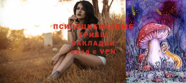 молекула духа Михайловка
