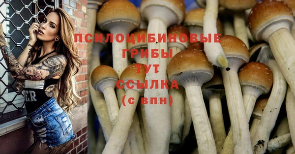 СК Медвежьегорск