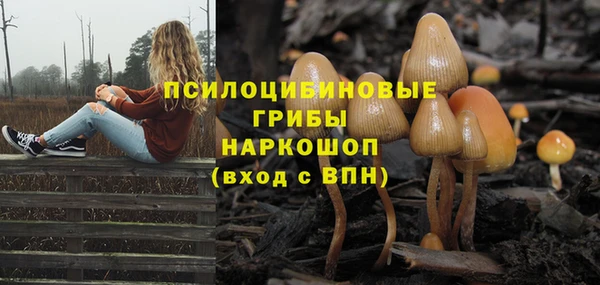 СК Медвежьегорск
