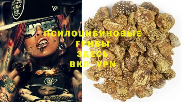 молекула духа Михайловка