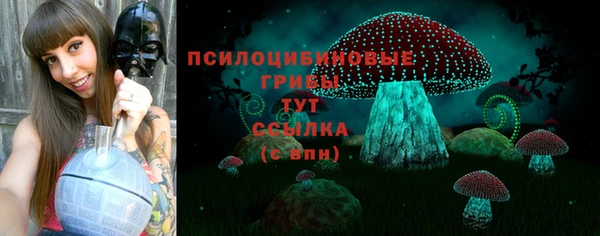 меф Мегион