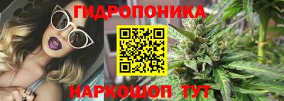 PSILOCYBIN Моздок