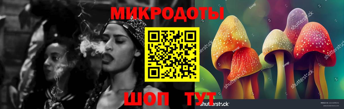 Каннабис Фрязино