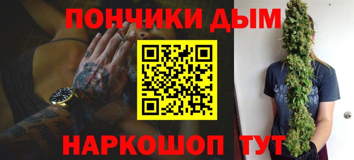 Каннабис сатива Фрязино